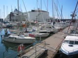 IMG_4407 * 2048 x 1536 * (465KB)