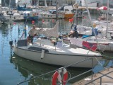 IMG_4408 * 2048 x 1536 * (404KB)