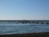 IMG_4435 * 2048 x 1536 * (249KB)
