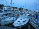 IMG_4468 * 2048 x 1536 * (330KB)
