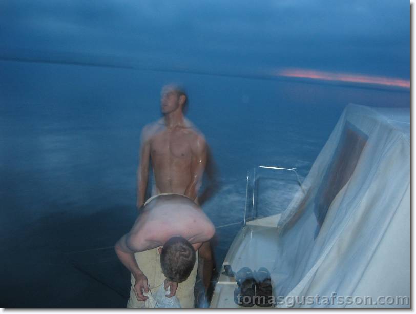 Click for the original image
