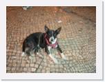 img_9539 * 2048 x 1536 * (796KB)