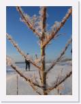 img_8852 * 2592 x 1944 * (2.13MB)