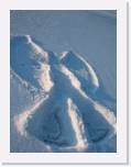 img_8951 * 2048 x 1536 * (292KB)