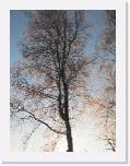 img_8953 * 2048 x 1536 * (724KB)
