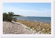 IMG_7040 * 3456 x 2304 * (1.96MB)